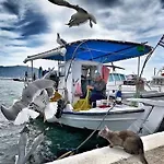August Pensionat Elafonissos