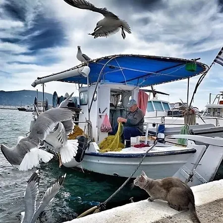 August Pensjonat Elafonissos