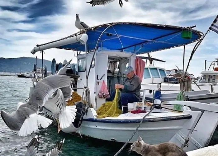 August Gasthuis Elafonissos